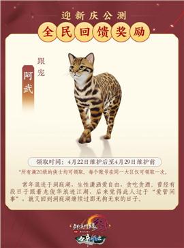 我本沉默天龙八部私服网